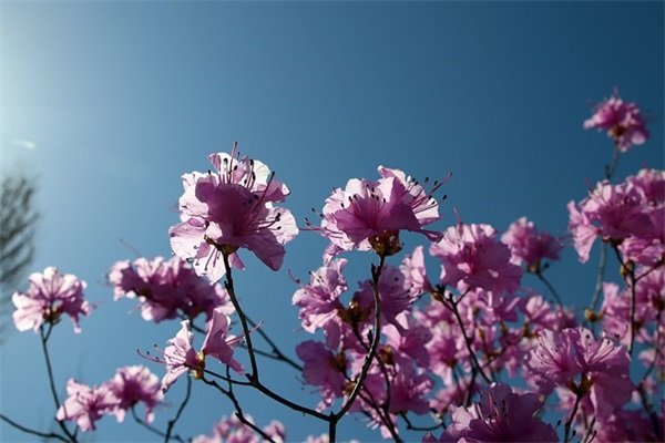 放好心态顺其自然的句子 阳光正能量的句子 放好心态顺其自然的句子 阳光正能量的句子