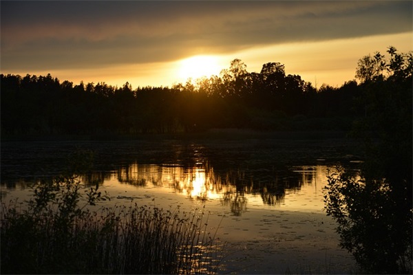 做人难的句子 做人难的句子