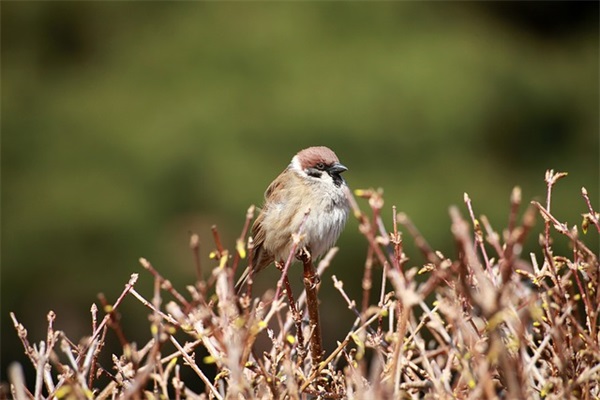 微信晒美食的句子 微信晒美食的句子
