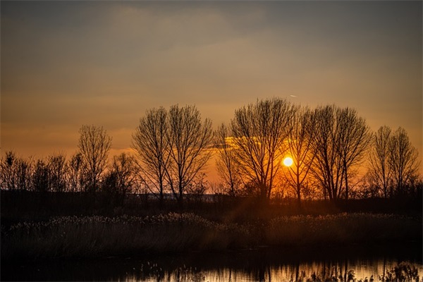 优美句子20字82句