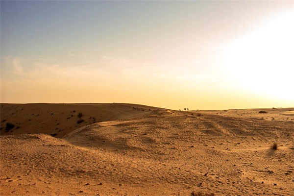 2026小学毕业催泪感人感言句子