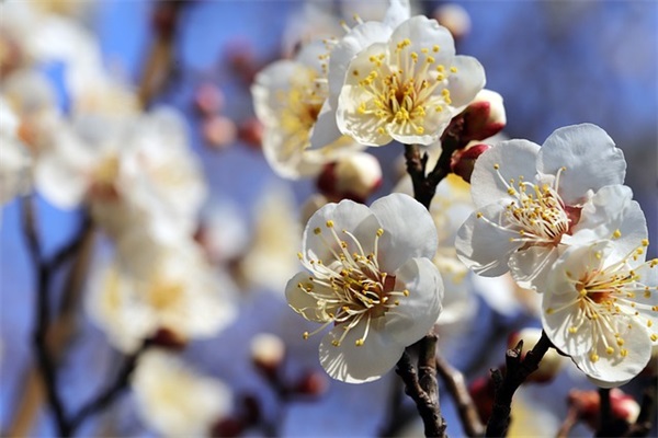 比较震撼人心励志句子