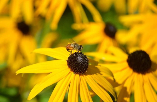 有关于爱情的好句子 爱情温暖小句子