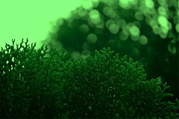 暖心温馨晚安句子 小清新晚安可爱的句子简短