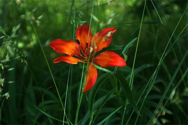 生日心得句子 生日励志到爆的句子