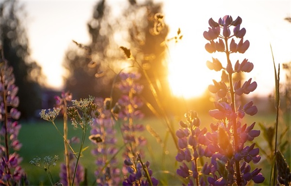 2026年四月祝福语28句