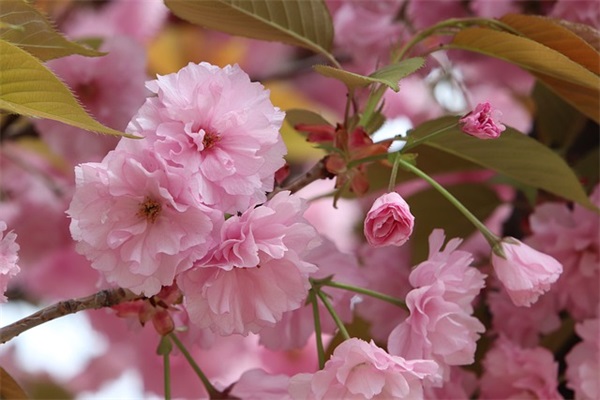 送孩子上大学祝福短句 儿子考上大学祝福语