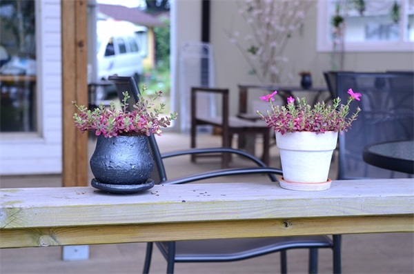 对幼儿新年祝福语2026年41句 对幼儿新年祝福语2026年41句