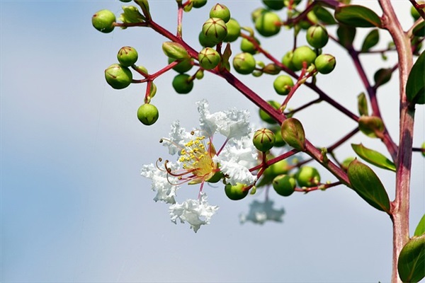 马上中考的祝福语34句