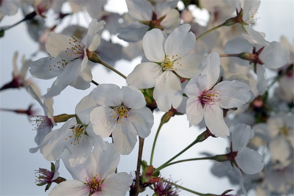 消费者权益日祝福语短信 消费者权益日祝福语短信