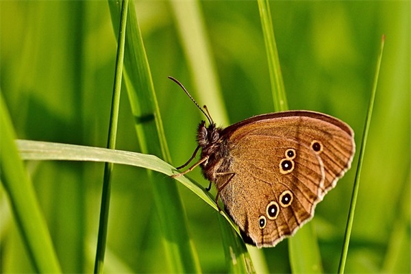 幼儿园猴年祝福语35句 幼儿园猴年祝福语35句