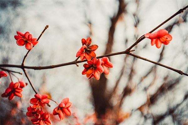 祝福别人的话 祝福别人的话