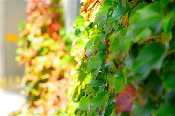 酒店周末祝福短信 周末祝福短信简短 酒店周末祝福短信 周末祝福短信简短