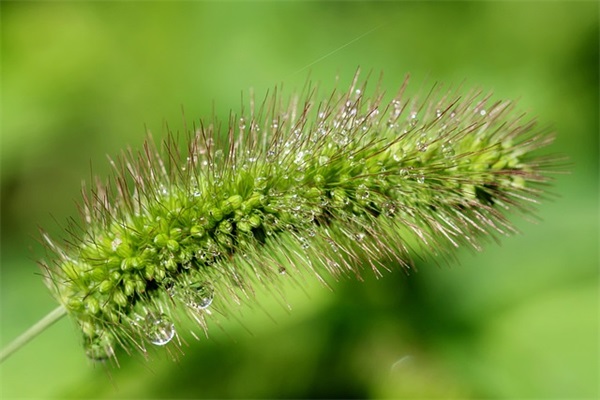 带兔字的四字祝福语 带兔四字祝福语