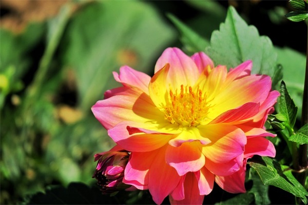 高考升学宴祝福语28句 高考升学宴祝福语28句