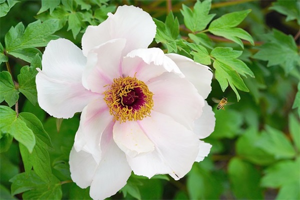 周一工作快乐的祝福语 周一快乐祝福语