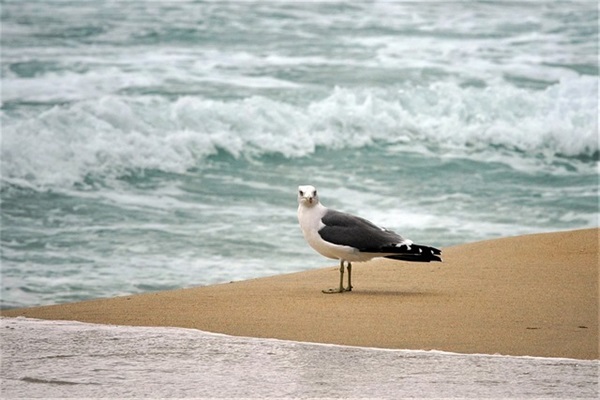 英语祝福语友情70句