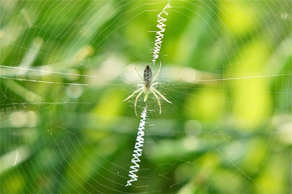 祝贺参加工作的祝福诗词