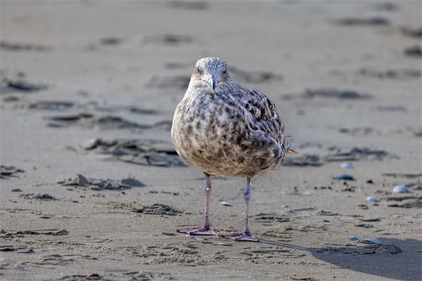 文艺的结婚祝福语