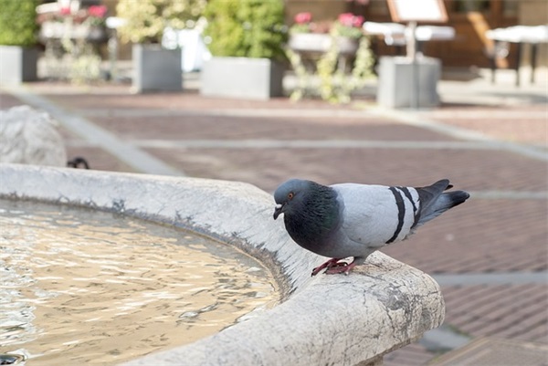 关于情谊的句子短句精选110条