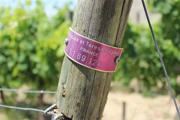 对感情专一的霸气句子百度一下 对感情专一的霸气句子