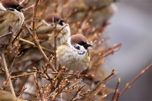 和同事开心拍照的句子