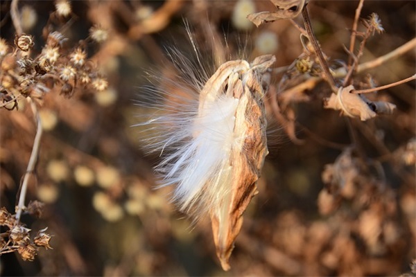 2026年下雨有意境的短句子