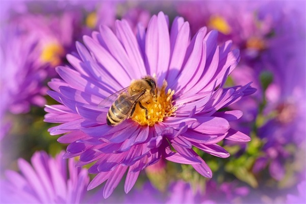 带有伤感的语句 令人心碎的句子伤感的句子