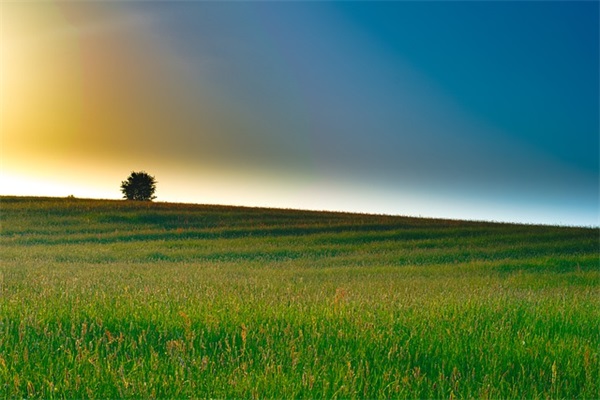 人生就像玩游戏句子