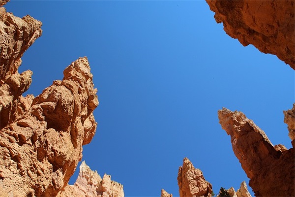 描写弟弟外貌的句子