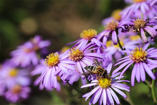 写祝愿老师节的句子 祝老师节快乐的句子