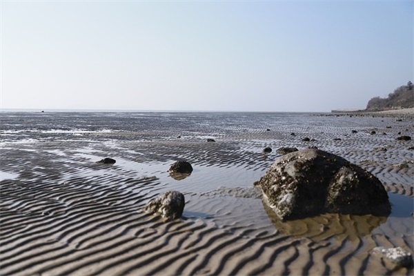 形容江南春天美景的句子有哪些(形容春天美景的一句话)