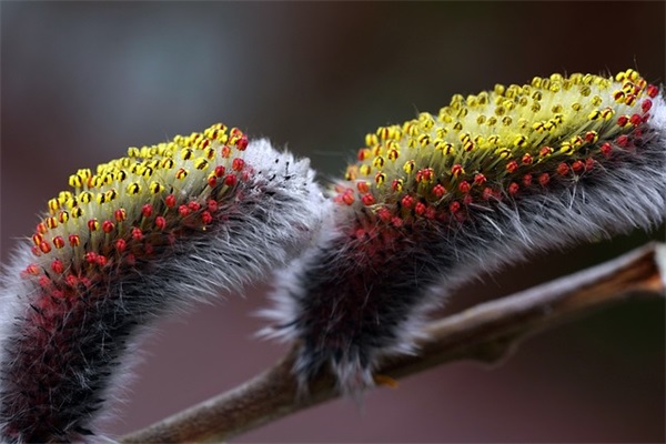 2026致高三学生的高考励志加油句子 高考激励自己的句子欣赏