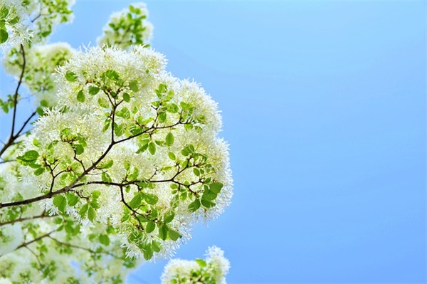 简洁明了的致友谊的句子 简短的致友谊的句子 简洁明了的致友谊的句子 简短的致友谊的句子