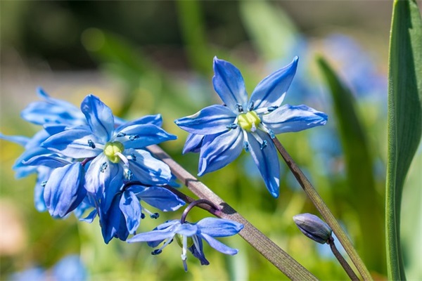 女人高傲单身的句子 女人高傲单身的句子