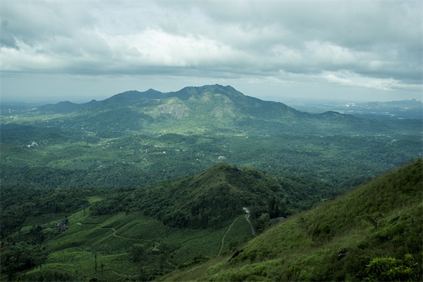 赞美语言的句子36句