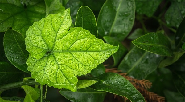 生日快乐祝福语闺蜜 生日快乐祝福语闺蜜暖心