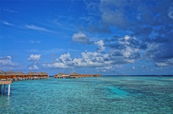 新腊八祝福语句2026