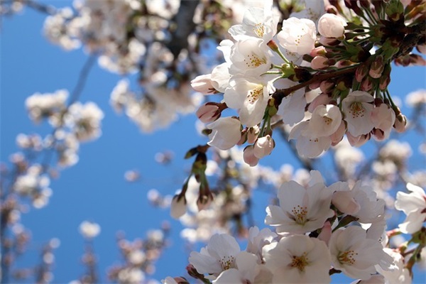 表达爱的温暖句子 赞美爱的美文美句 表达爱的温暖句子 赞美爱的美文美句