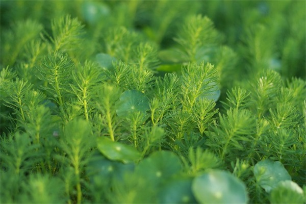 形容十月的优美句子