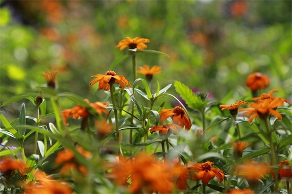 精选励志句子大全 励志句子大全