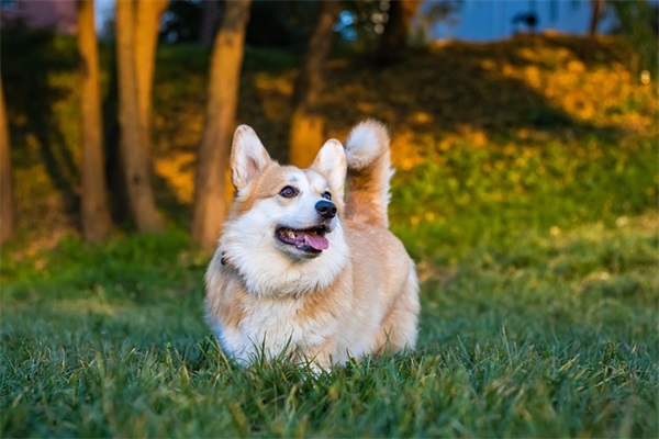 2026年关于享受美食的优美句子