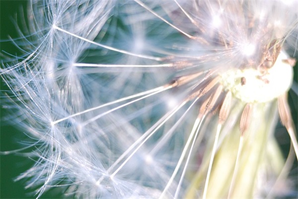 适合各种关系的伤感句子句句心痛 适合各种关系的伤感句子句句心痛