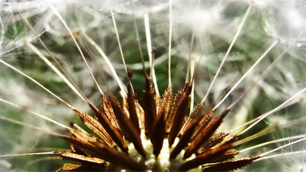 暖心祝福文艺句子离别 暖心祝福文艺句子离别