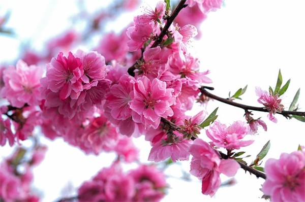 逗女人开心的搞笑句子 逗女人开心的搞笑句子