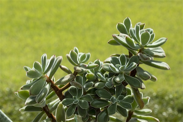 励志的优美短句子大全 励志的优美短句子大全