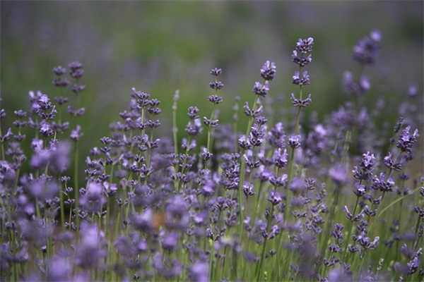 超狠的励志句子 夏天超燃励志句子