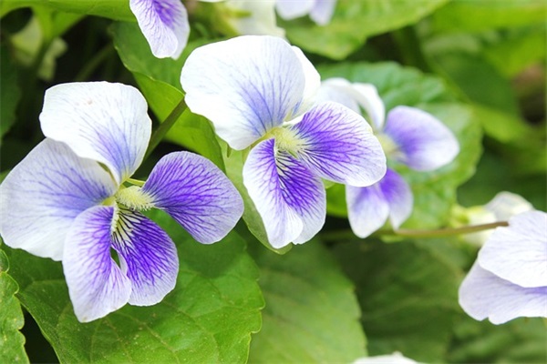 伤感句子表达心情短语 伤感句子表达心情失落 伤感句子表达心情短语 伤感句子表达心情失落