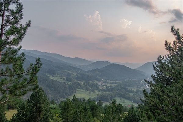 形容卖茶叶的句子 适合卖茶叶的句子