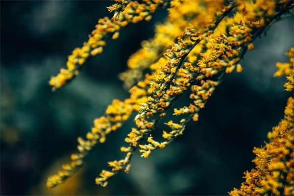 关于自恋的搞笑句子 关于自恋的搞笑句子